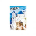 ΜΑΓΝΗΤΑΚΙΑ 533